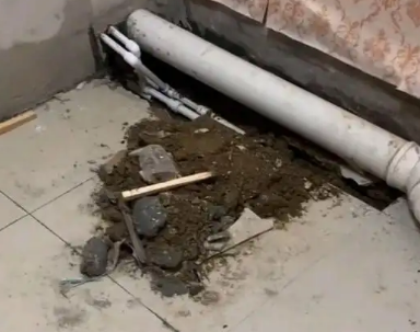 奉贤卫生间漏水检测哪家好